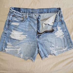 AE 90's Boyfriend Shorts